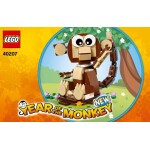 40207 Year of the Monkey