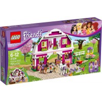 41039 Friends Sunshine Ranch