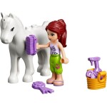 41039 Friends Sunshine Ranch