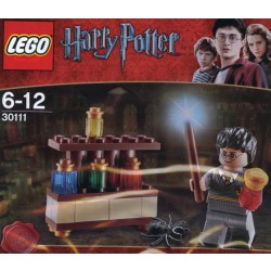 30111 Harry Potter The Lab