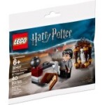 30407 Harry Potter's Journey to Hogwarts