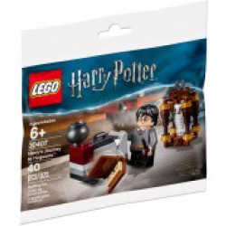 30407 Harry Potter's Journey to Hogwarts