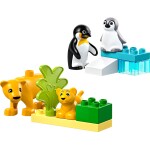 10442 - Duplo: Wild Animal Families: Penguins & Lions