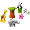 Lego 10904 - Duplo: Baby Animals