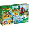 Lego 10907 - Duplo: World Animals