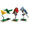 Lego 21301 - Ideas: Birds