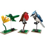 Lego 21301 - Ideas: Birds