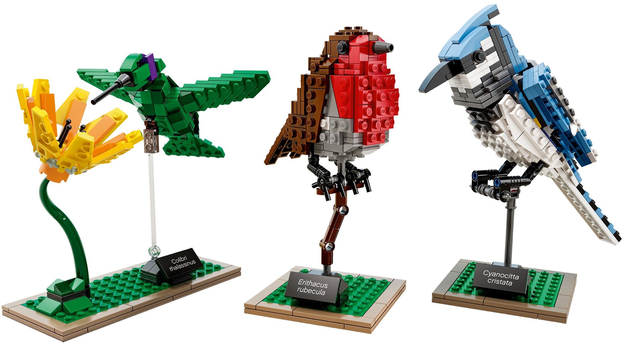 21301 Lego 21301 - Ideas: Birds