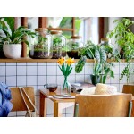 40747 - Botanicals: Daffodils - Afbeelding 4