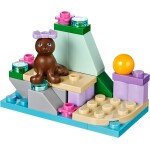 41047 - Friends: Seal on a Rock - Afbeelding 3