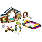 Lego 41322 - Friends: Snow Resort Ice Rink